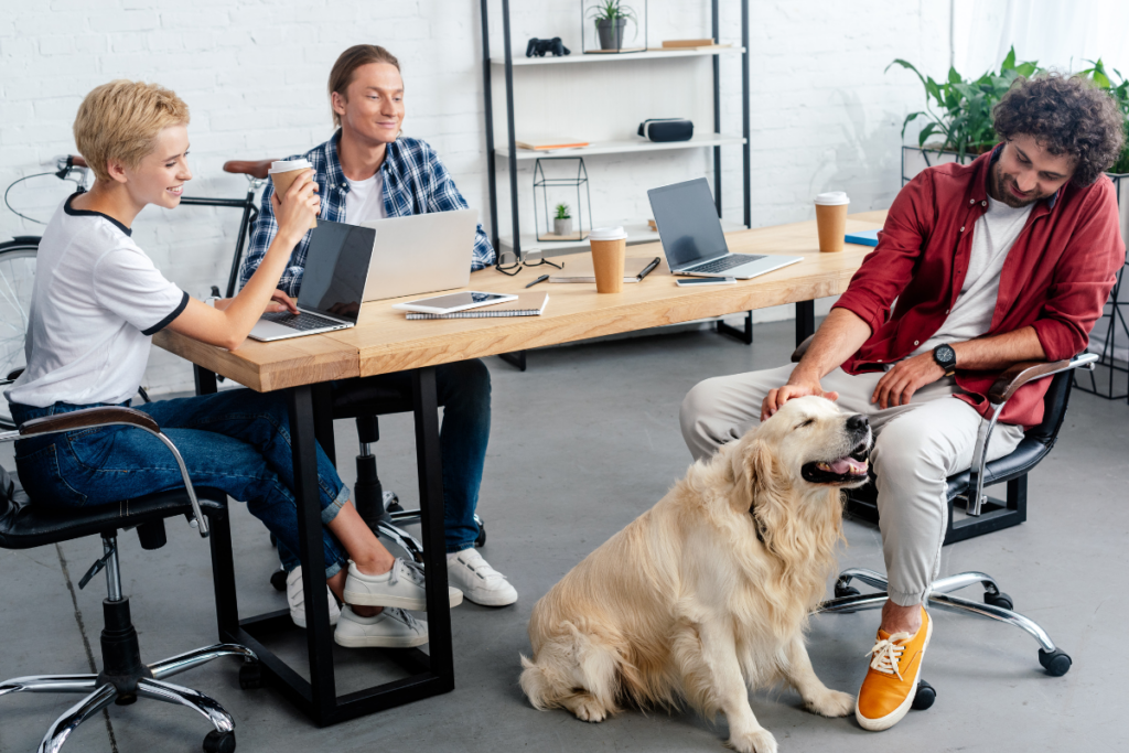 Offices are getting relaxing makeovers. Decluttering, color, and even dogs are being used to boost focus and relaxation.